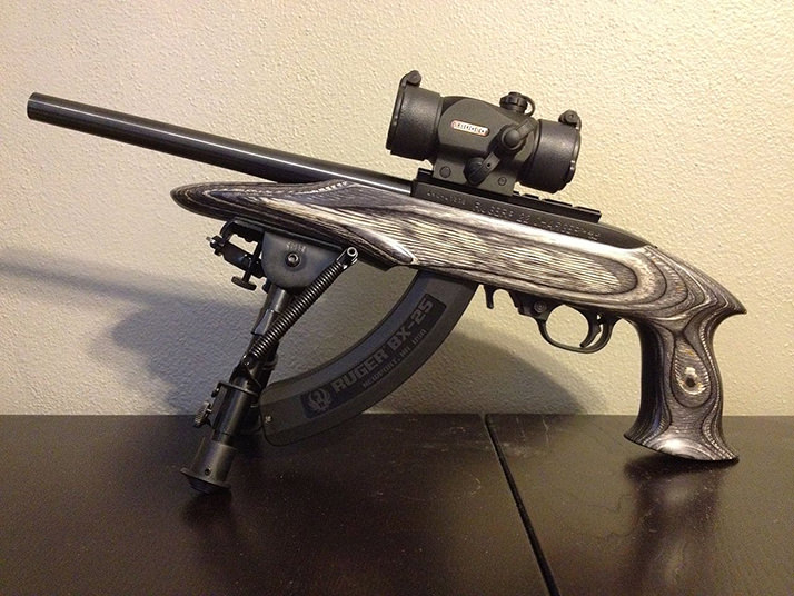 ruger-feature-2