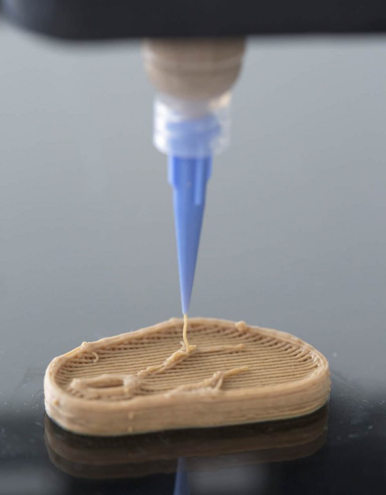 novameat3dprintingmeat6 3DP id.arts